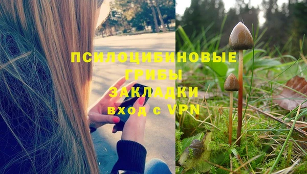a pvp Беломорск
